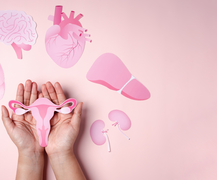 THE GYNAE CLINIC|Wadgaonsheri,Pune